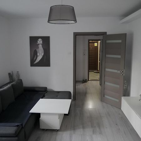 Lion Crib Apartment Bacau Exterior photo