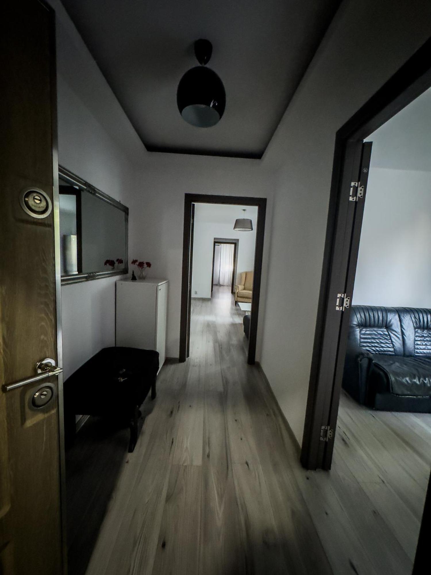Lion Crib Apartment Bacau Exterior photo