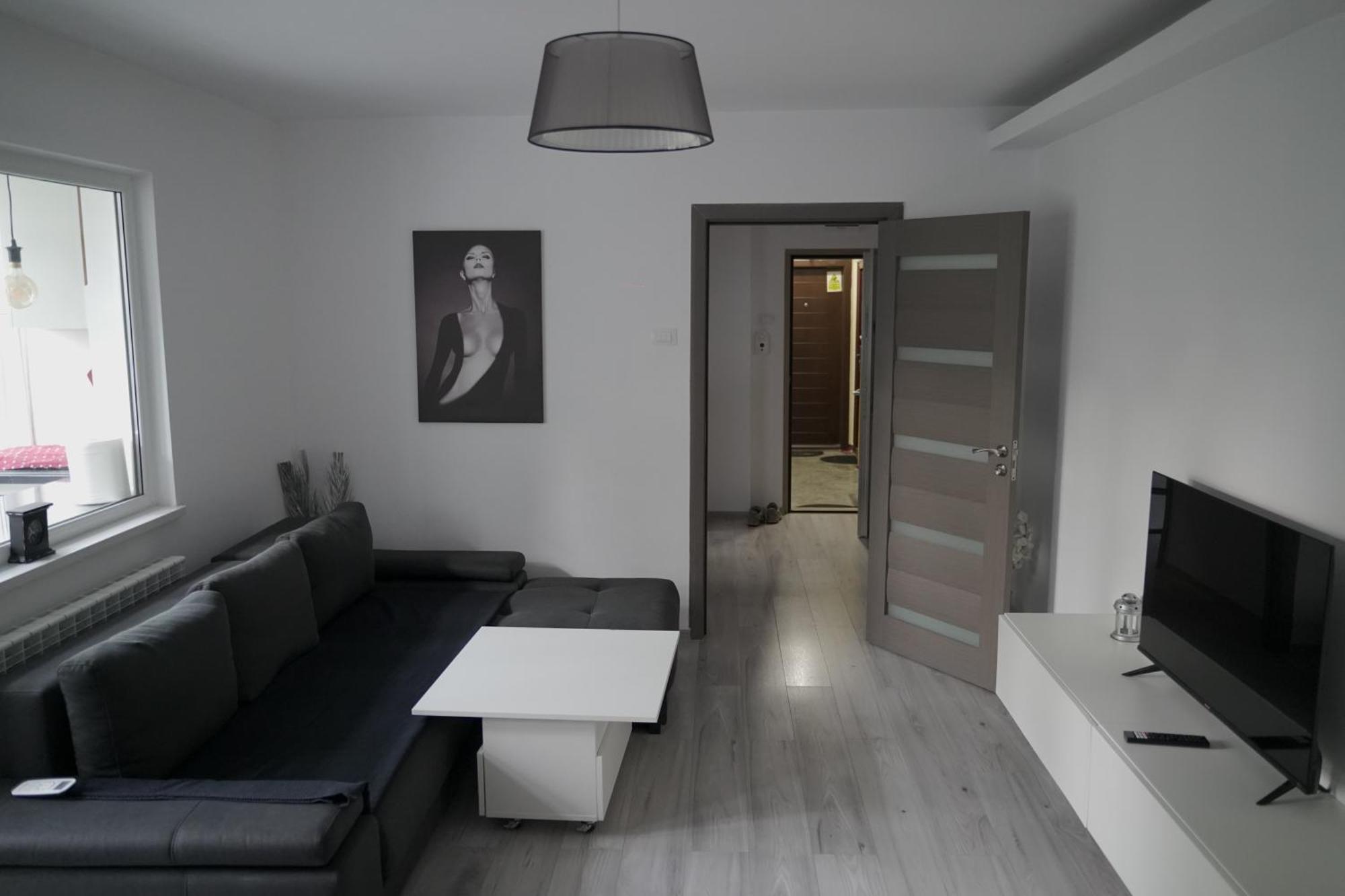 Lion Crib Apartment Bacau Exterior photo